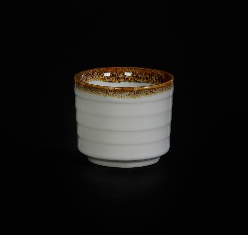 sousnik-house-of-white-porcelain-provence-47mm-40ml-[hm30298]_9qfy0b8mjmuhj5xw.jpg